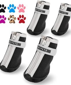 QUMY Dog Shoes for Small Dog, Puppy Dog Boots & Paw Protectors for Winter, Summer Hot Pavement, Waterproof in Rain Weather, Ourdoor Walking