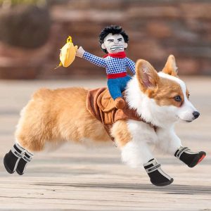 QUMY Dog Shoes for Small Dog, Puppy Dog Boots & Paw Protectors for Winter, Summer Hot Pavement, Waterproof in Rain Weather, Ourdoor Walking 8