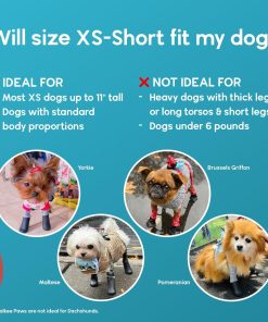 Walkee Paws New Deluxe Easy-On Stay-On Dog Boot Leggings, Seen on Shark Tank, Dog Snowboots for Winter, Rain, Wet & Snow, Chemicals, Never Lose a Boot Shoe or Sock Again (Black, XS Short) 5