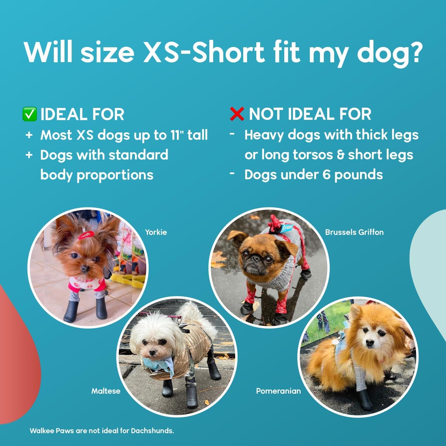 Walkee Paws New Deluxe Easy-On Stay-On Dog Boot Leggings, Seen on Shark Tank, Dog Snowboots for Winter, Rain, Wet & Snow, Chemicals, Never Lose a Boot Shoe or Sock Again (Black, XS Short) 5