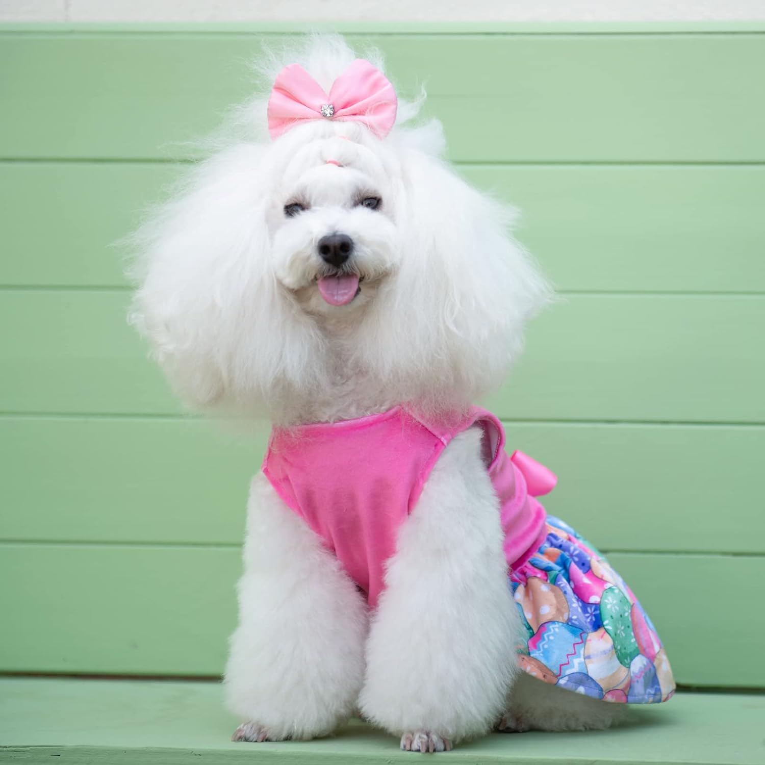 CuteBone Happy Easter Eggs Dog Dress Velvet for Small Dogs Girl Pink Puppy Dresses Dog Clothes CVA18XXS-D 5