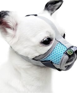 MoiiLavin Extra Small Dog Muzzle XS for Grooming Barking Chewing, Barkless Soft Mesh Muzzles to Prevent Eating Poop Things,Best for Aggressive Dogs (Grey-Blue)