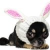 Zoo Snoods Bunny Costume for Dogs & Cats, Small - Warm No Flap Ear Wrap Hood for Pets
