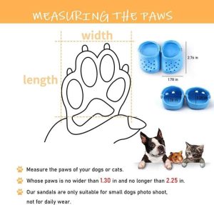 Doggie Crocks 1