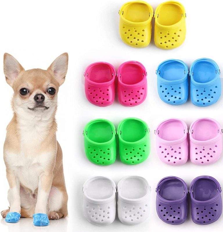 Doggie Crocks