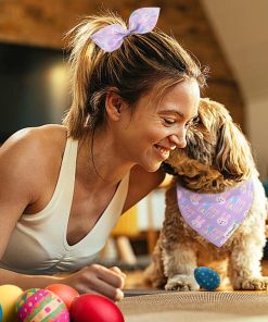 E-Clover Easter Dog Collar-Bunny Dog Collar Bandana & Matching Scrunchie Girl Boy Adjustable Dog Collars for XS Small Dogs Cats Owner Gift Purple 3