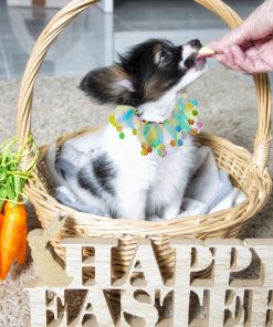 Elegant little tail 1PC Dog Easter Day Costume - Dog Cat Easter Day Collar Pet Collar Patterns Pet Tutu Collar Suit Pet Colorful Costume for Cats 3