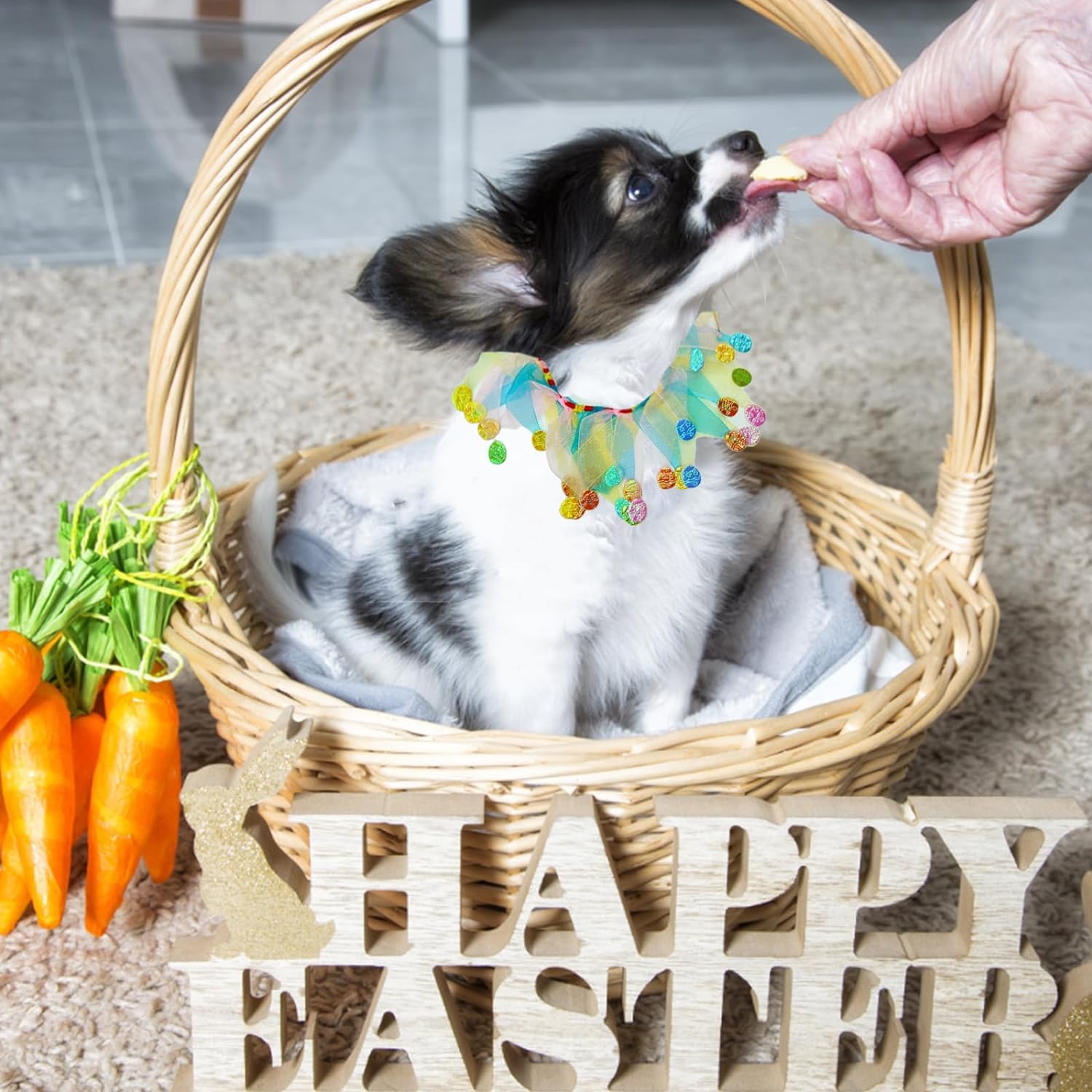 Elegant little tail 1PC Dog Easter Day Costume - Dog Cat Easter Day Collar Pet Collar Patterns Pet Tutu Collar Suit Pet Colorful Costume for Cats 3 Elegant little tail 1PC Dog Easter Day Costume - Dog Cat Easter Day Collar Pet Collar Patterns Pet Tutu Collar Suit Pet Colorful Costume for Cats 3