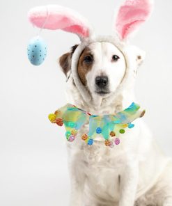 Elegant little tail 1PC Dog Easter Day Costume - Dog Cat Easter Day Collar Pet Collar Patterns Pet Tutu Collar Suit Pet Colorful Costume for Cats 4