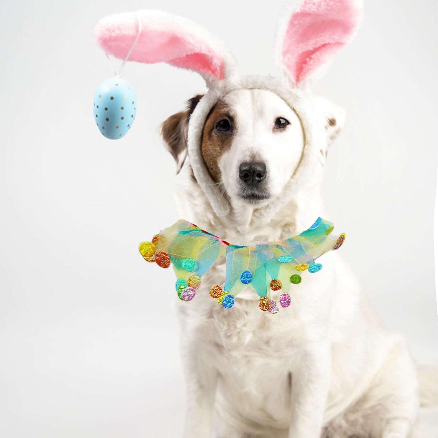 Elegant little tail 1PC Dog Easter Day Costume - Dog Cat Easter Day Collar Pet Collar Patterns Pet Tutu Collar Suit Pet Colorful Costume for Cats 4 Elegant little tail 1PC Dog Easter Day Costume - Dog Cat Easter Day Collar Pet Collar Patterns Pet Tutu Collar Suit Pet Colorful Costume for Cats 4