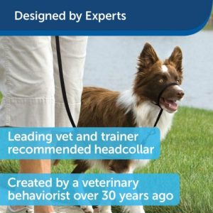 Gentle Leader Leash 1