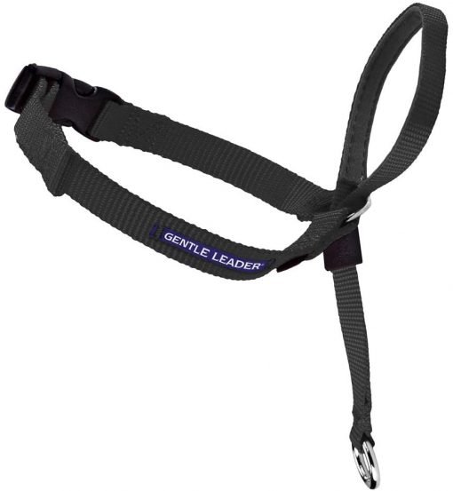 Gentle Leader Leash