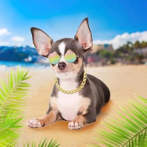 Gold Dog Chain 1
