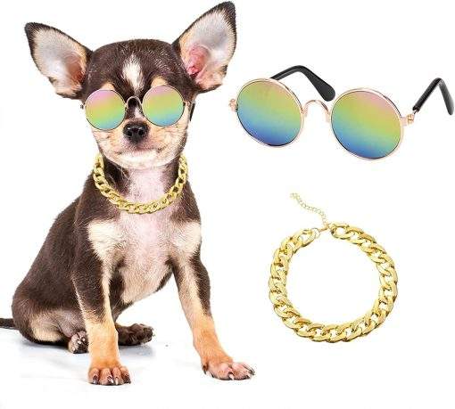 Gold Dog Collar