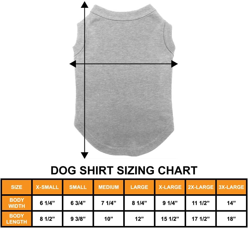 Hip Hop Easter Bunny - Rabbit Music Dog Shirt (Chill, X-Small) 3