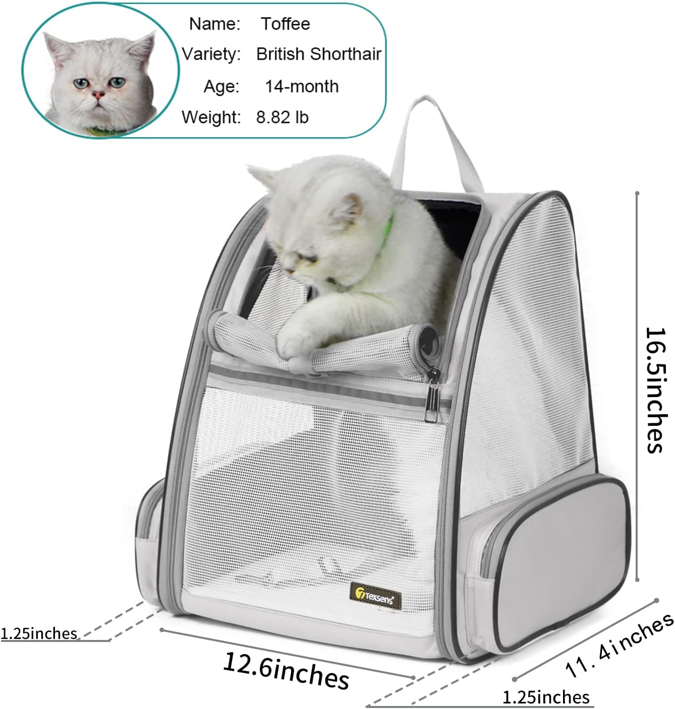 Texsens Pet Backpack Carrier for Small Cats Dogs - Ventilated Design, Safety Straps, Buckle Support, Collapsible - Designed for Travel, Hiking & Outdoor Use - 2