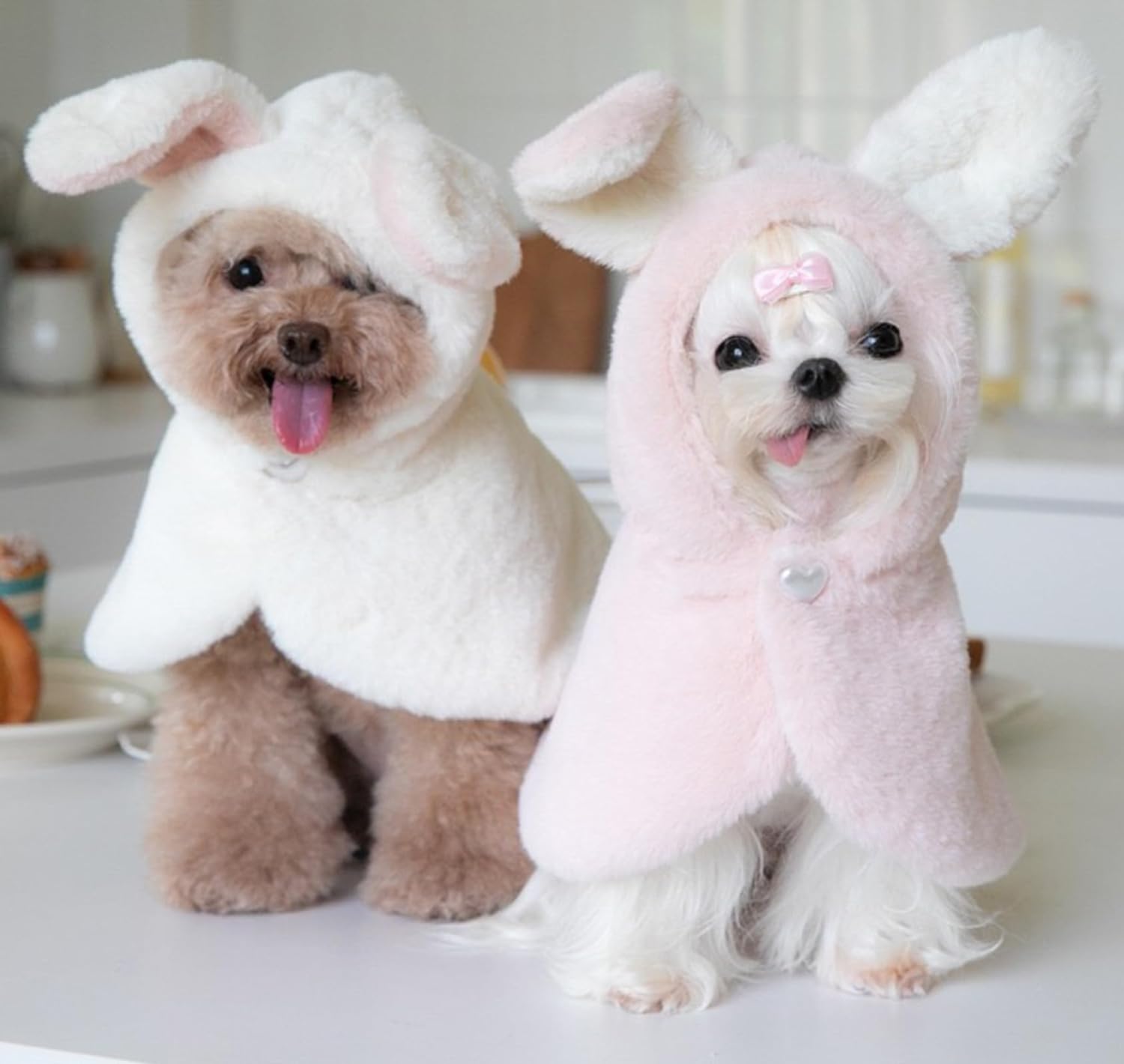 YQYS Pet Ponchos, Warm Plush Poncho for Small Breeds Dogs and Cats, Easter Outfit for Dog, Rabbit Costume for Puppy, Dog Bunny Costumes, Teacup Puppy Clothes 6 YQYS Pet Ponchos, Warm Plush Poncho for Small Breeds Dogs and Cats, Easter Outfit for Dog, Rabbit Costume for Puppy, Dog Bunny Costumes, Teacup Puppy Clothes 6