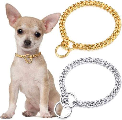 chihuahua gold