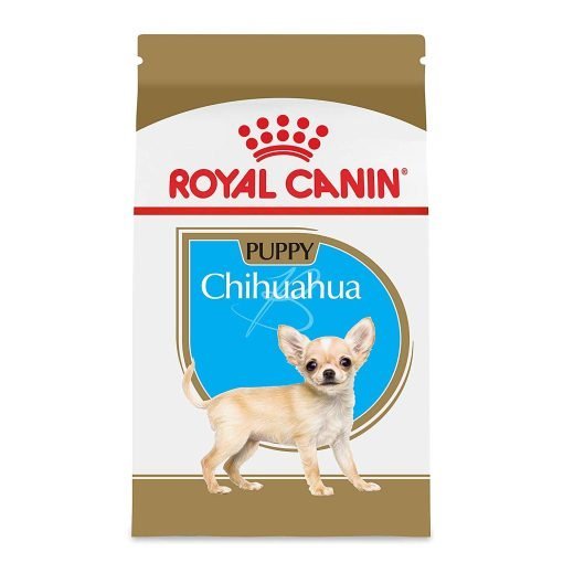 food in chihuahua