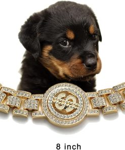 Dog Cuban Link Choke Necklace for Small Medium Dog,Iced Out Dog Cuban Link Collar Silver Bling Diamond Hip Hop Jewelry (8 inches, Gold Dollar) - 4