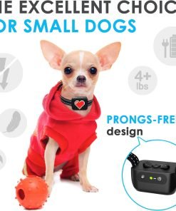 Small Bark Collar For Small Dogs 5-15 lbs - 2