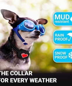 Small Bark Collar For Small Dogs 5-15 lbs - 4