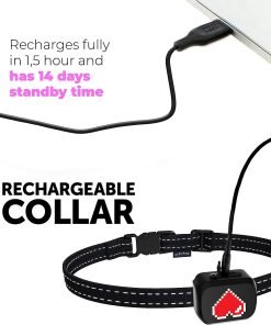 Small Bark Collar For Small Dogs 5-15 lbs - 6