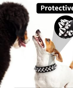 Spiked Dog Collar, Spike Collar for Dogs, Durable PU Leather Studded Dog Collar with Leash, Epesiri Funny Mushrooms Rivet Small Puppy Dog Collars, Pet Cat Adjustable Collar - 2