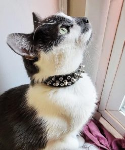 Spiked Dog Collar, Spike Collar for Dogs, Durable PU Leather Studded Dog Collar with Leash, Epesiri Funny Mushrooms Rivet Small Puppy Dog Collars, Pet Cat Adjustable Collar - 7