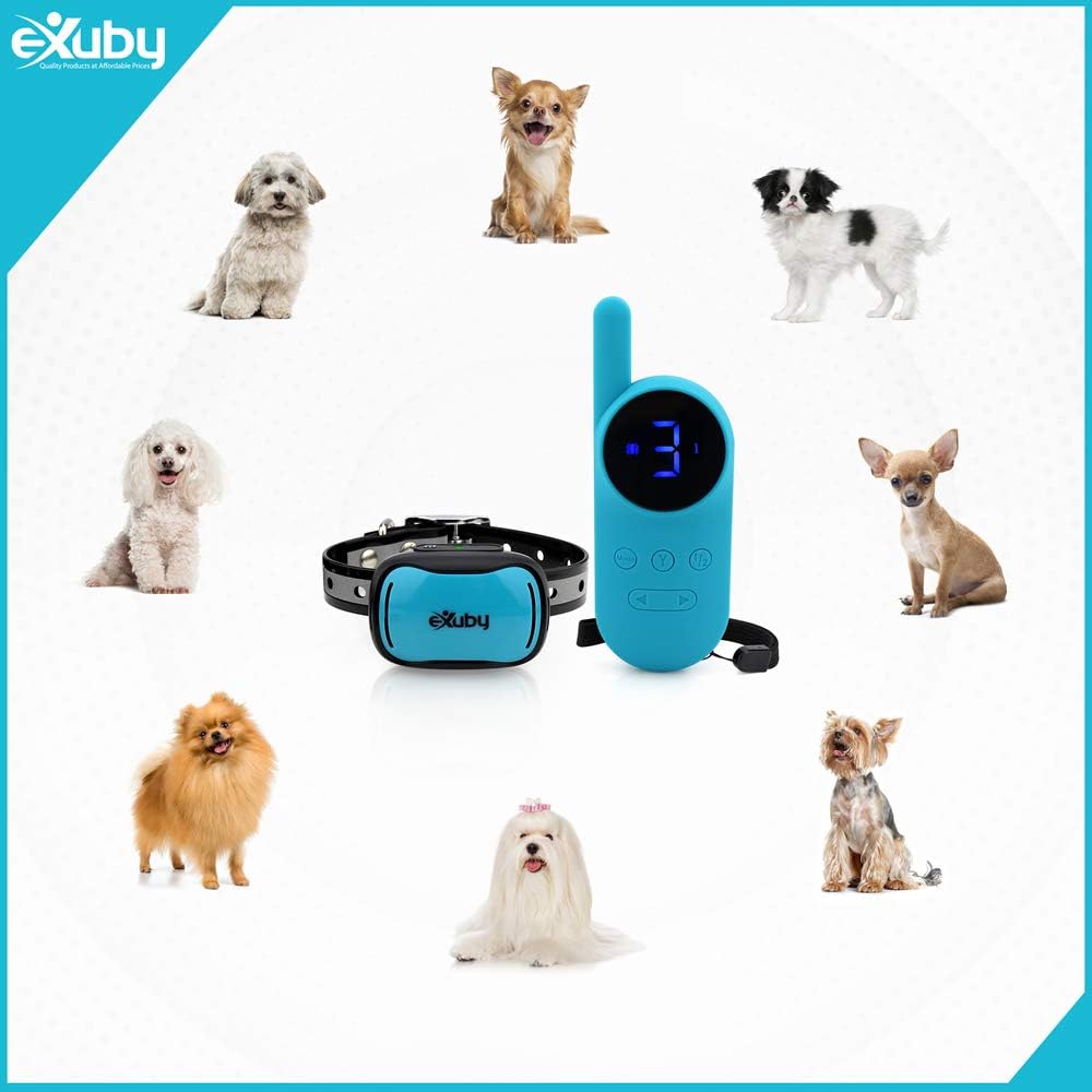 eXuby - Tiny Shock Collar for Small Dogs 5-15lbs - Smallest Collar on The Market - Sound, Vibration, & Shock - 9 Intensity Levels - Pocket-Size Remote - 4