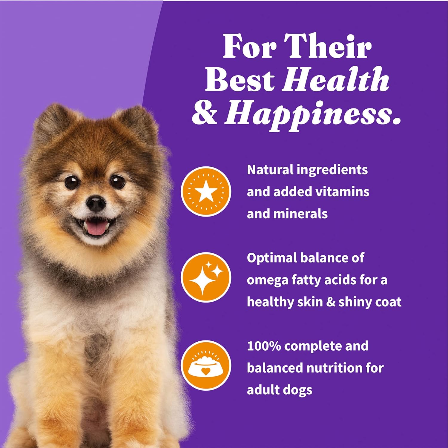 Halo Holistic Dog Food, Complete Digestive Health Cage-Free Chicken and Brown Rice Recipe, Dry Dog Food Bag, Small Breed Formula, 10-lb Bag 8
