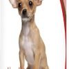 Healthy Breeds Chihuahua Apple Oatmeal Dog Shampoo - All Natural, Tearless & Hypoallergenic Cleanser & Conditioner - Best for Dry, Itchy or Irritated Skin - 1
