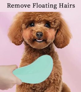 Small Dog Brush - Puppy Hair Brush- Grooming Tool for Teddy, Yorkies, Maltese, Shih Tzu, Chihuahua (Green) - 5