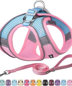 AIITLE Dog Harness, Summer No-Pull Cat Harness with a Leash, Adjustable Reflective Dog Vest, Cat Harness Escape Proof, Outdoor Walking, Running,Training - 1