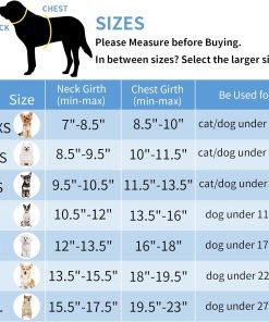 AIITLE Dog Harness, Summer No-Pull Cat Harness with a Leash, Adjustable Reflective Dog Vest, Cat Harness Escape Proof, Outdoor Walking, Running,Training - 6