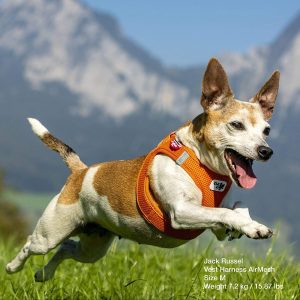 Curli Vest Harness Air-Mesh Dog Harness Pet Vest No-Pull Step-in Harness with Padded Blue XS - 5