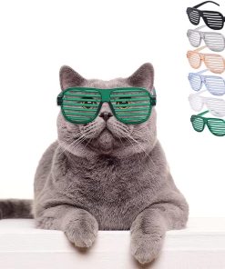 DPLUS Pet Goggles Sunglasses - Pack of 5 Latest Fashion Clear Square Cat-Dog Goggles - Classic Retro Circular Metal Circle Eye-Wear for Cat,Chihuahua or Small Dogs - 1