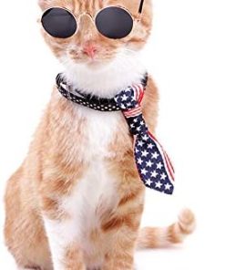 Dplus Cool Stylish and Funny Cute Pet Sunglasses - Glasses Set of 5 - Classic Retro Circular Metal Prince Sunglasses for Cat,Chihuahua or Small Dogs (with tie) - 2