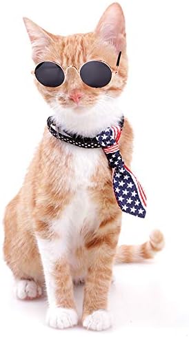 Dplus Cool Stylish and Funny Cute Pet Sunglasses - Glasses Set of 5 - Classic Retro Circular Metal Prince Sunglasses for Cat,Chihuahua or Small Dogs (with tie) - 2 Dplus Cool Stylish and Funny Cute Pet Sunglasses - Glasses Set of 5 - Classic Retro Circular Metal Prince Sunglasses for Cat,Chihuahua or Small Dogs (with tie) - 2