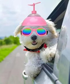 IUOUTG Dog Helmet and Goggles with Cute Propeller Adjustable Puppy Hard Hat and Sunglasse Summer Riding Motorcycle Helmet Dog Goggles Set for Small Medium Dogs - 5