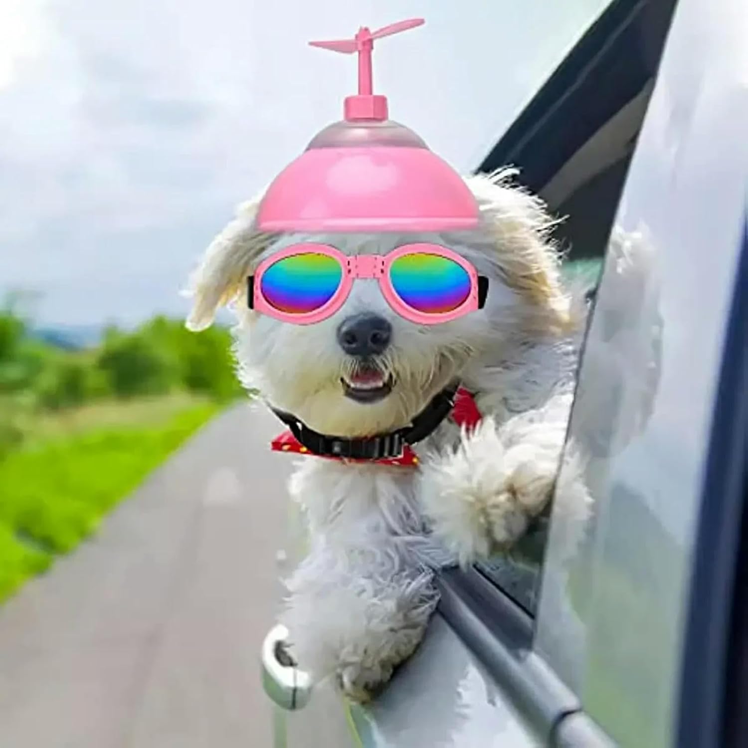 IUOUTG Dog Helmet and Goggles with Cute Propeller Adjustable Puppy Hard Hat and Sunglasse Summer Riding Motorcycle Helmet Dog Goggles Set for Small Medium Dogs - 5