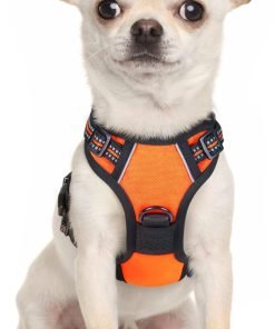 rabbitgoo Dog Harness, No-Pull Pet Harness with 2 Leash Clips, Adjustable Soft Padded Dog Vest, Reflective No-Choke Pet Oxford Vest with Easy Control Handle for Small Dogs - 1