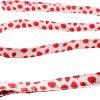 Lionet Paws Dog Leash Matching Dog Collar for Small Medium Large Dog - 1