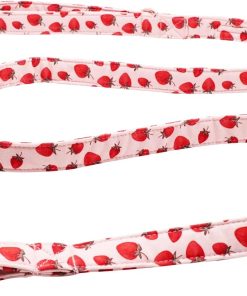 Lionet Paws Dog Leash Matching Dog Collar for Small Medium Large Dog - 1
