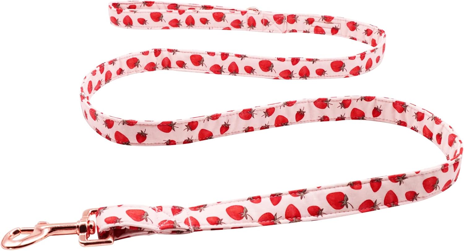 Lionet Paws Dog Leash Matching Dog Collar for Small Medium Large Dog - 1 Lionet Paws Dog Leash Matching Dog Collar for Small Medium Large Dog - 1