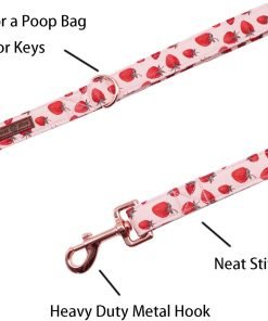 Lionet Paws Dog Leash Matching Dog Collar for Small Medium Large Dog - 2