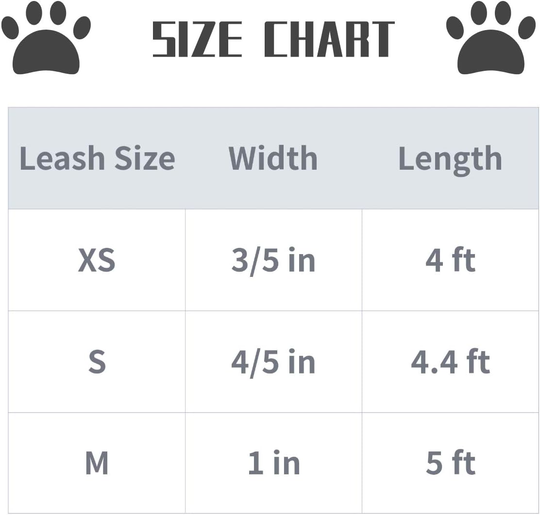 Lionet Paws Dog Leash Matching Dog Collar for Small Medium Large Dog - 4 Lionet Paws Dog Leash Matching Dog Collar for Small Medium Large Dog - 4