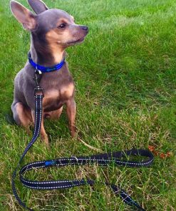 Max and Neo Small Dog Reflective Nylon Dog Leash - We Donate a Leash to a Dog Rescue for Every Leash Sold (PINK, 4x5-8) - 5