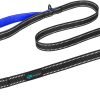 PHOEPET 5 Feet Dog Leash - Dual-Side Reflective - Soft Padded Handle - Fit for Walking, Training or Exploring Hiking, Camping (L, Royal Blue) - 1