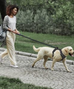 PHOEPET 5 Feet Dog Leash - Dual-Side Reflective - Soft Padded Handle - Fit for Walking, Training or Exploring Hiking, Camping (L, Royal Blue) - 2